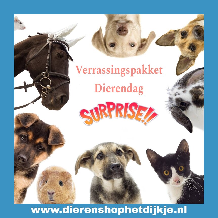 Dierendag