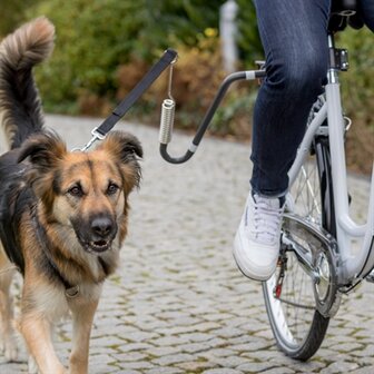 Trixie fietsbeugel u-vorm