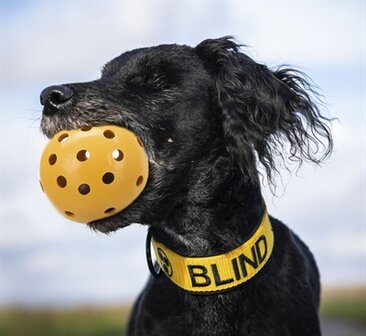 Trixie gatenbal natuurrubber met bel voor blinde of gehandicapte hond