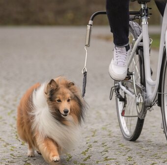 Trixie bikerset fietsbeugel