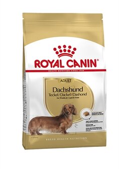 Royal canin dachshund/teckel adult