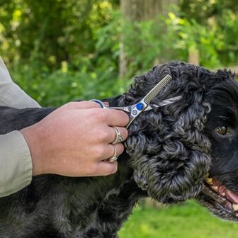 Mikki doodle effileerschaar voor kop en poten