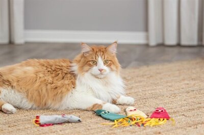 Trixie muis pluche met catnip assorti