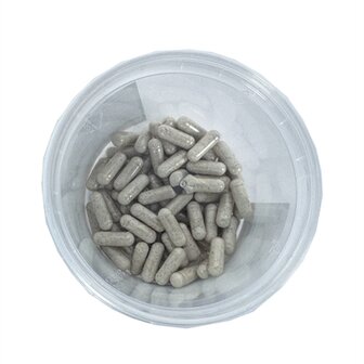 Dierendrogist darmflora opbouw / verbeterend capsules