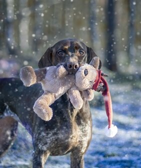 Cupid &amp; comet kerstbeer brad