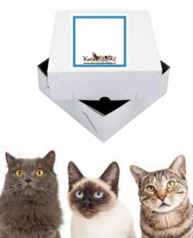 Verrassing box Kat 