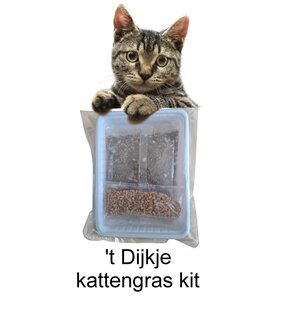 &#039;t Dijkje kattengras kit