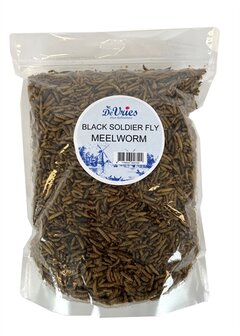 De vries meelworm black soldier fly