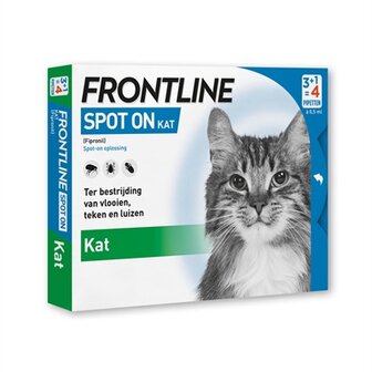 Frontline kat spot on