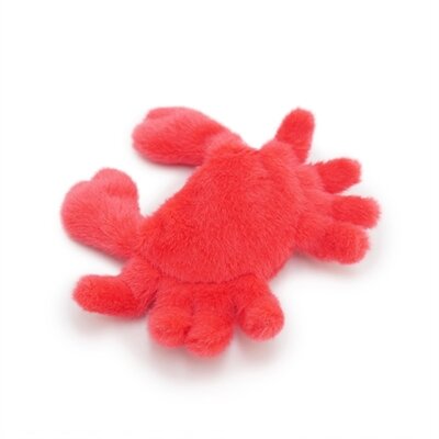 Jolly moggy under the sea crab