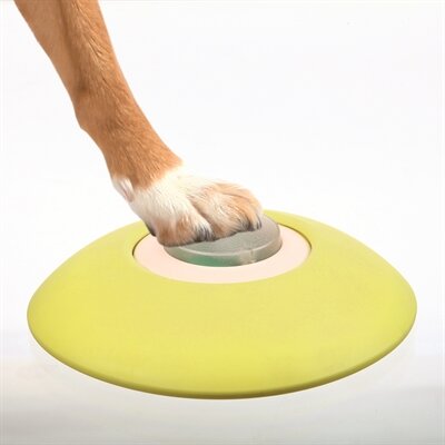 Trixie dog activity memory trainer