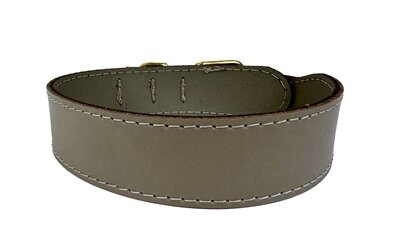 Sazzz halsband hond pioneer classic leer taupe