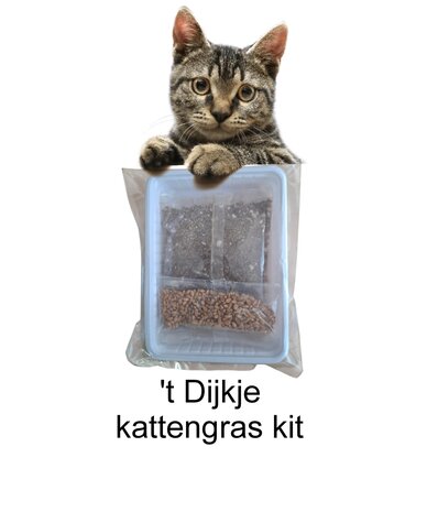 't Dijkje kattengras kit